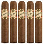 Brick House Teaser 5-Pack