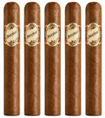 Brick House Toro 5-Pack