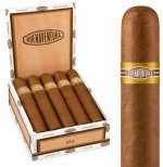 Buenaventura 554