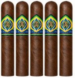 CAO Brazilia Corcovado 5-Pack