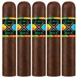 CAO BX3 Gordo 5-Pack