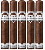 CAO FASA Noche Gigante 5-Pack