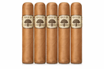 Charter Oak Grande Connecticut Shade 5-Pack