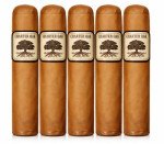 Charter Oak Rothschild Connecticut Shade 5-Pack