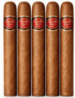 Cubata Cru Shade Sweet Tip Blunderbuss 5-Pack