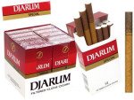 Djarum Filtered Clove Cigars Special
