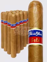 Flor de Oliva Gold Churchill