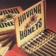 Havana Honeys Cigarillo Honey