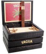 J. C. Newman Yagua Toro