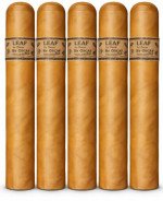 Leaf by Oscar Connecticut Toro 5-Pack