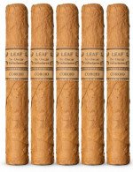 Leaf by Oscar Corojo Toro 5-Pack