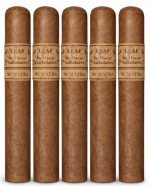 Leaf by Oscar Sumatra Robusto 5-Pack