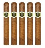 Macanudo Caviar 5-Pack
