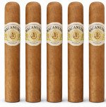 Macanudo Hampton Court 5-Pack