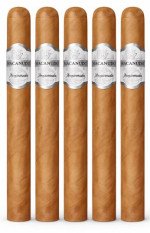 Macanudo Inspirado White Churchill 5-Pack