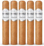 Macanudo Inspirado White Gigante 5-Pack