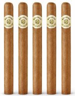 Macanudo Prince Phillip 5-Pack