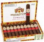 Macanudo Sumatra Robusto
