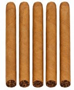 Mehari's Ecuador 5-Pack
