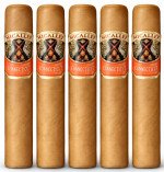 Micallef Connecticut Toro 5-Pack