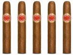 Moya Fumas 5-Pack