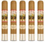 New World Connecticut Robusto 5-Pack