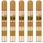 New World Connecticut Toro 5-Pack