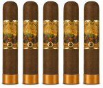 New World Dorado Gordito 5-Pack