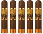 New World Dorado Robusto 5-Pack