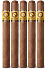 Odyssey Sweet Tip Churchill 5-Pack
