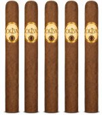 Oliva Serie O Churchill 5-Pack