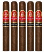 Partagas Cortado Corona 5-Pack