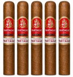 Partagas Cortado Robusto 5-Pack