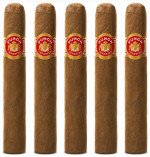 Punch Elites 5-Pack
