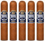 Punch Knuckle Buster Connecticut Robusto 5-Pack