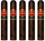 Punch Pitas Maduro 5-Pack