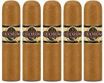 Quorum Connecticut Shade Short Robusto 5-Pack