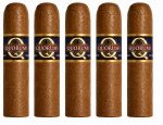 Quorum Classic Short Robusto 5-Pack