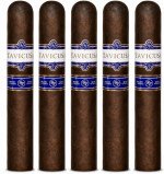 Rocky Patel Tavicusa Robusto 5-Pack