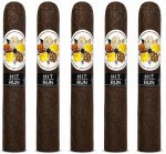 Room101 Hit and Run by Booth/Caldwell Gordo 5-Pack