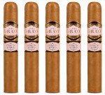 Southern Draw Rose of Sharon Gordo 5-Pack