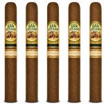 San Lotano Requiem Habano Churchill 5-Pack