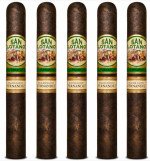 San Lotano Requiem Maduro Churchill 5-Pack