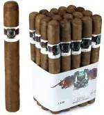 Schizo 752 Churchill