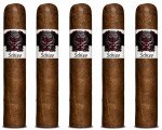 Schizo Robusto 5-Pack