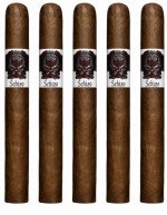 Schizo Toro 5-Pack