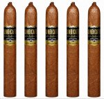 Sindicato Corona Gorda 5-Pack