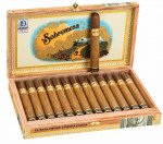 Sobremesa Tapa Negra Corona Gorda