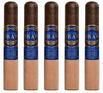 Southern Draw Jacob's Ladder Gordo 5-Pack
