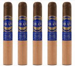 Southern Draw Jacob's Ladder Toro 5-Pack